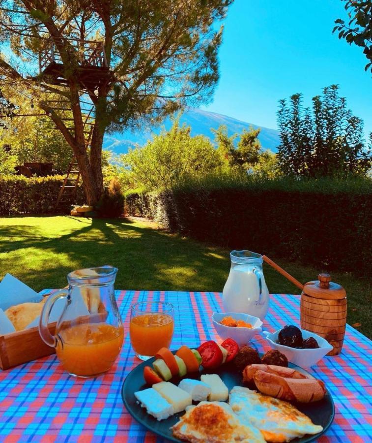 Merly Hotel Πρεμετή Εξωτερικό φωτογραφία