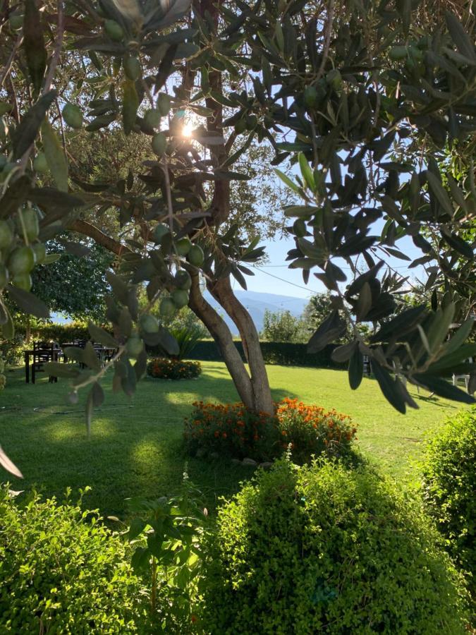 Merly Hotel Πρεμετή Εξωτερικό φωτογραφία