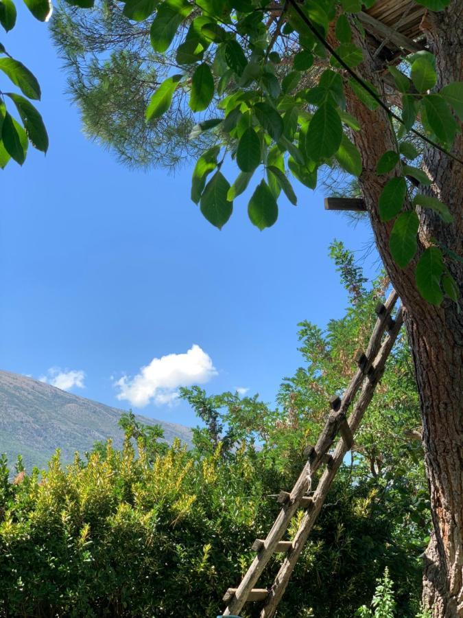 Merly Hotel Πρεμετή Εξωτερικό φωτογραφία